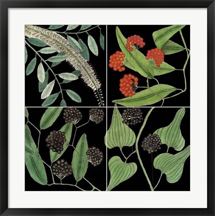 Framed Graphic Botanical Grid IV Print