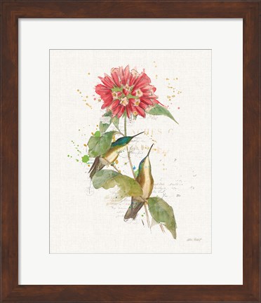 Framed Colorful Hummingbirds I Print