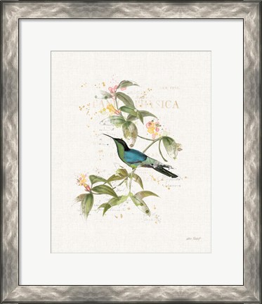 Framed Colorful Hummingbirds IV Print