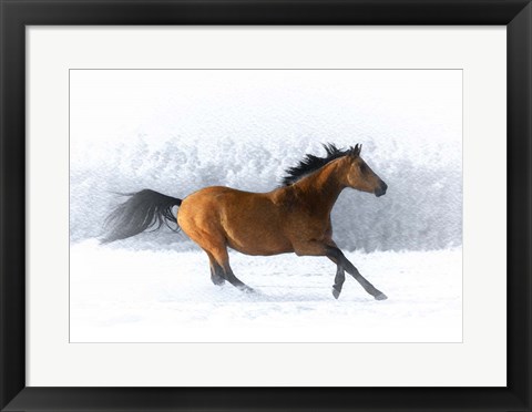 Framed Pop of Color Running Horse Print
