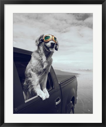 Framed Pop of Color Cool Dog Print