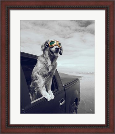 Framed Pop of Color Cool Dog Print