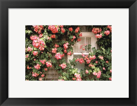 Framed Roses and home, Nantucket Island Print