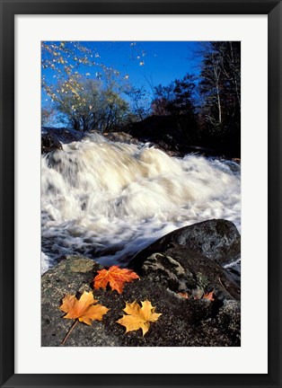 Framed Maple Leaves and Wadleigh Falls on the Lamprey River, New Hampshire Print