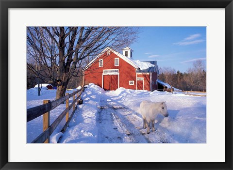 Framed Pony and Barn near the Lamprey River in Winter, New Hampshire Print