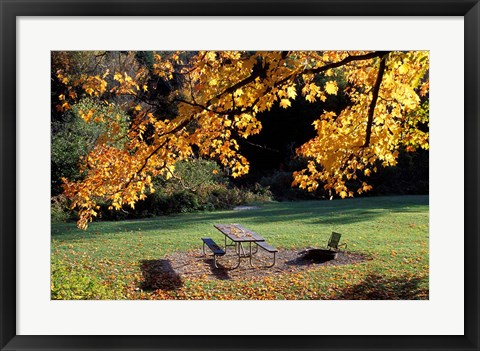 Framed Fall Foliage on Cohos Trail, Zealand Campground, Twin Mountain, New Hampshire Print