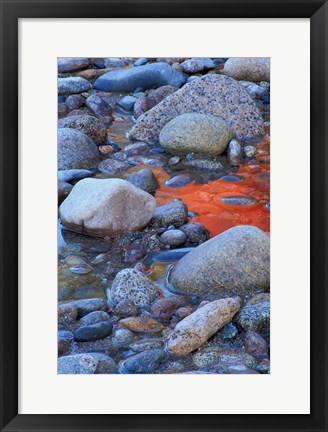 Framed Fall Colors Reflect in Saco River, New Hampshire Print