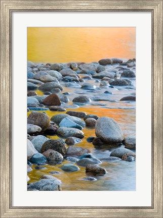 Framed Fall Reflections Among the Cobblestones in the Saco River, White Mountains, New Hampshire Print