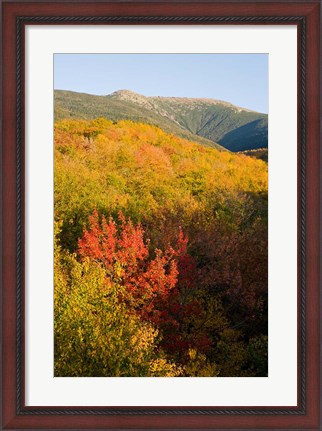 Framed Mount Lafayette in fall, White Mountain National Forest, New Hampshire Print