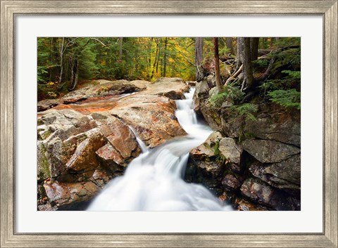 Framed Autumn on Pemigewasset River, Franconia Notch SP, New Hampshire Print