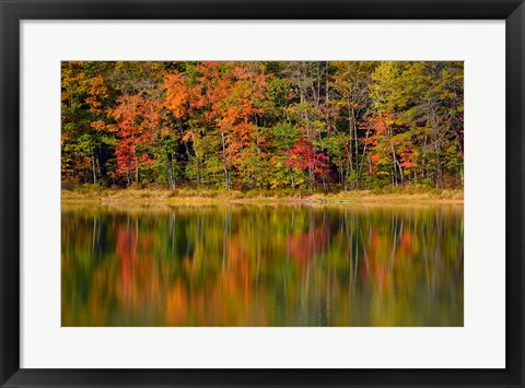 Framed Reflected autumn colors at Echo Lake State Park, New Hampshire Print