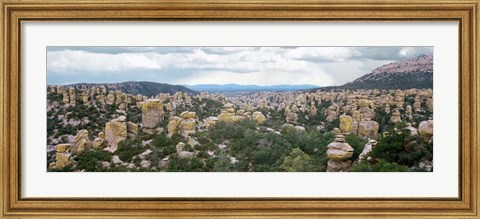 Framed Rhyolite Sculptures, Hailstone Trail, Chiricahua National Monument, Arizona Print