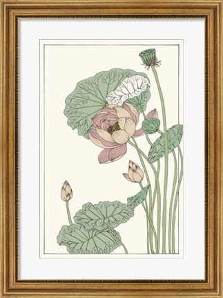 Framed Botanical Gloriosa Lotus II Print