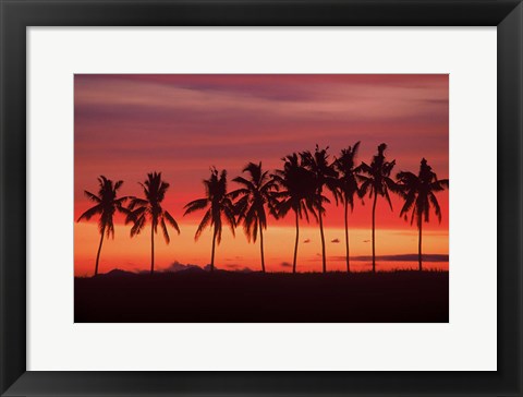 Framed Palm Trees and Sunset, Queens Road, Fiji Print