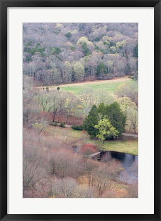 Framed Spring Forest in East Haddam, Connecticut Print