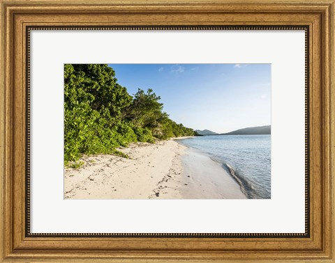 Framed White sandy beach, Fiji Print