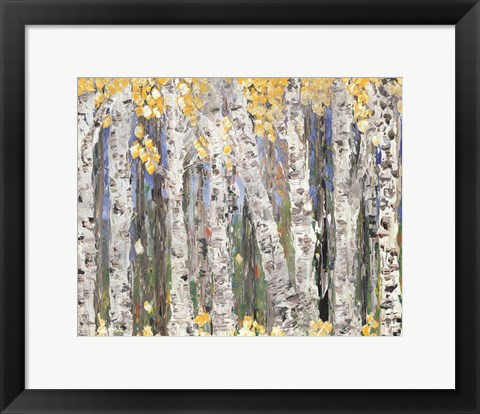 Framed Yellow Leaf Birch Trees Print