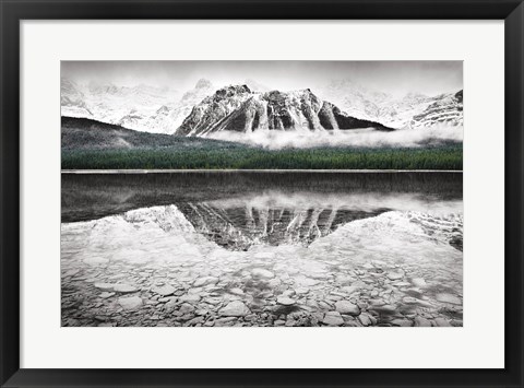 Framed Waterfowl Lake I BW with Color Print