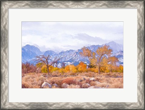 Framed High Desert Vista IV Print