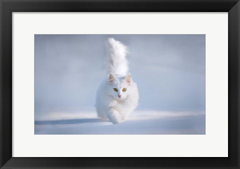 Framed Yellow Eyes Print