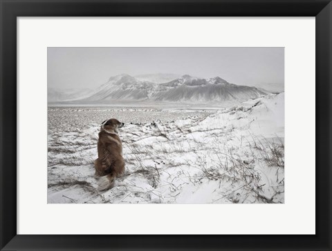Framed Snowstorm Print