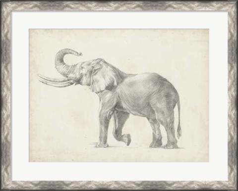 Framed Elephant Sketch I Print