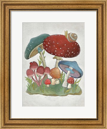 Framed Mushroom Collection I Print