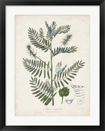 Framed Flowering Flora I Print