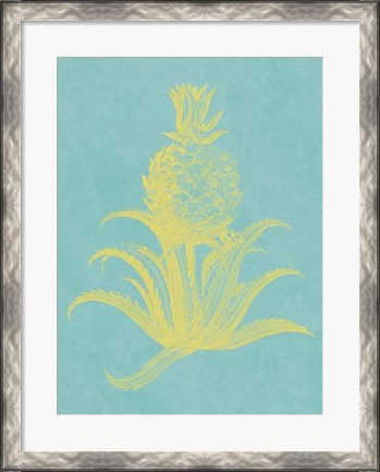 Framed Pineapple Frais II Print