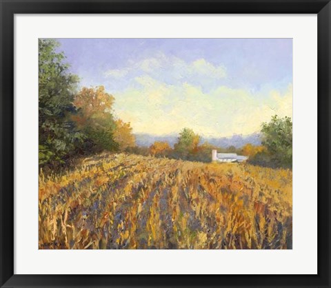 Framed Corn Rows Print
