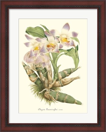 Framed Lavender Orchids I Print