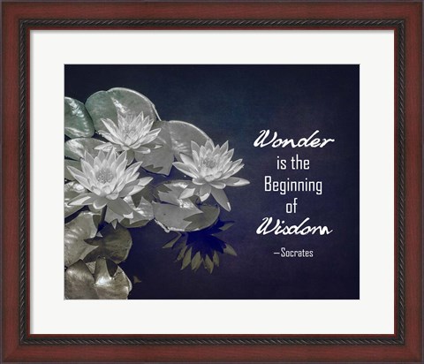 Framed Wonder is the Beginning of Wisdom Water Lily Black and White Print