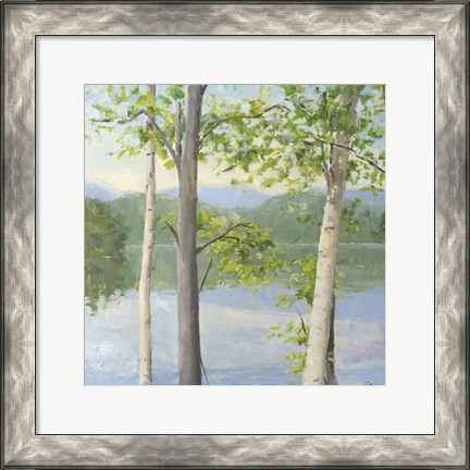 Framed Cooper Lake II Print
