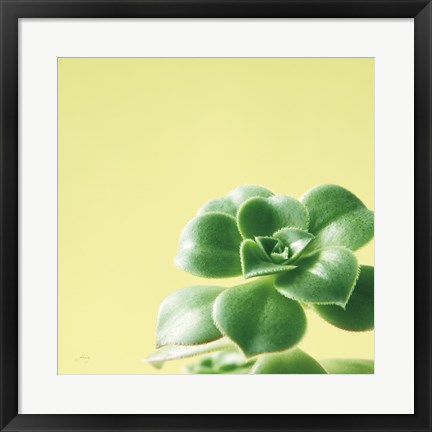 Framed Succulent Simplicity VIII Print