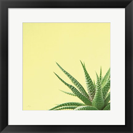 Framed Succulent Simplicity II Print