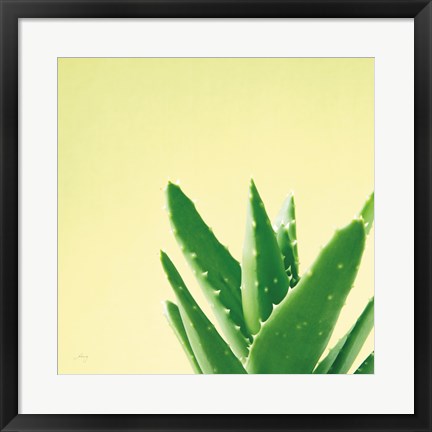 Framed Succulent Simplicity VI Print