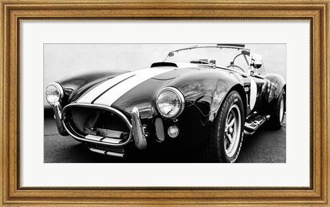 Framed Black Cobra Print