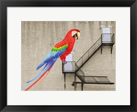 Framed Escape from your cage Print