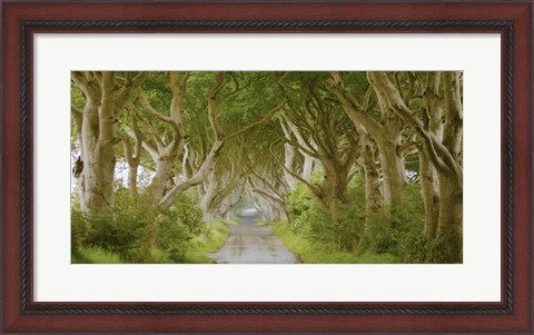 Framed Dark Hedges, Ireland Print