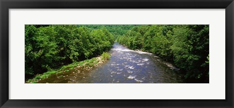 Framed River Passing through a Forest, Pigeon River, Cherokee National Forest, Tennessee Print