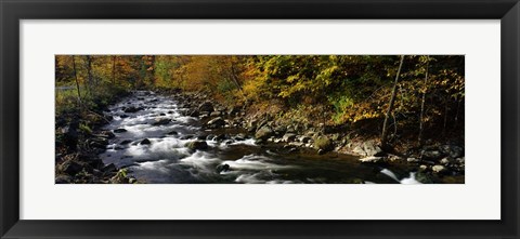 Framed River Flowing through a Forest, Chittenango Creek, New York State Print