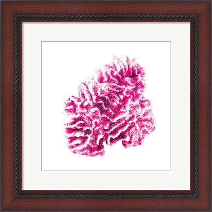 Framed Pink Sea Print