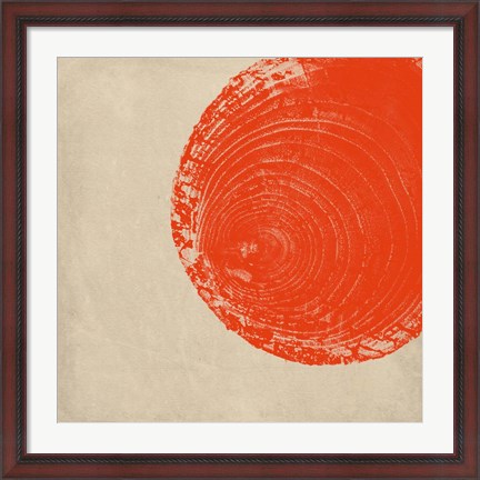 Framed Tree Stump Tangerine Print