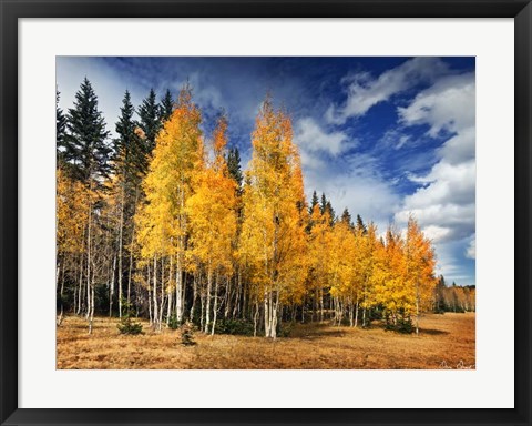 Framed Through the Yellow Trees II Print