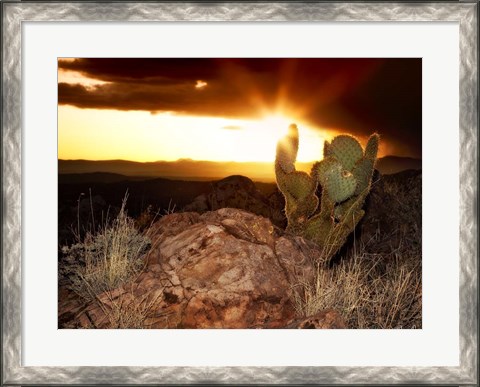 Framed Sunset in the Desert V Print