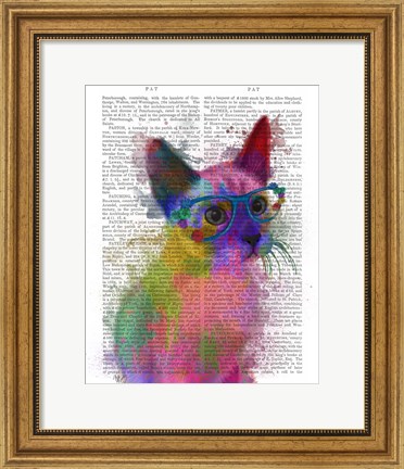 Framed Rainbow Splash Cat 2 Print