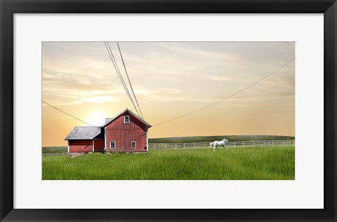 Framed Farm &amp; Country IV Print