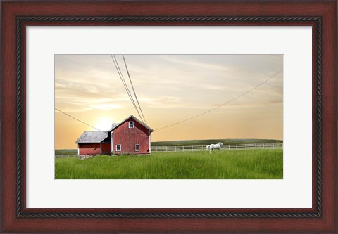 Framed Farm &amp; Country IV Print