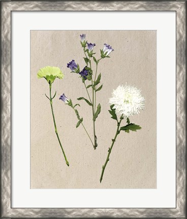 Framed Pretty Pressed Flowers I Print