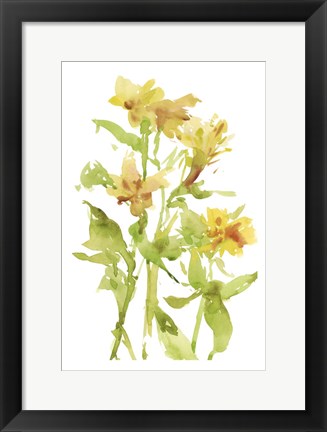 Framed Watercolor Lilies II Print